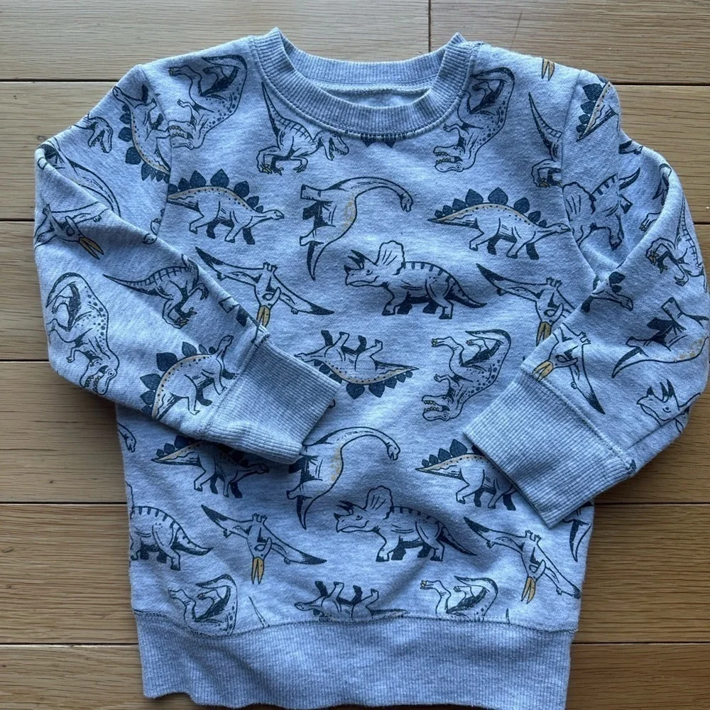 Kids' Gray Dinosaur & Blue Superhero Sweatshirts size 2T